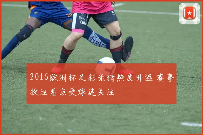 2016欧洲杯足彩竞猜热度升温 赛事投注看点受球迷关注