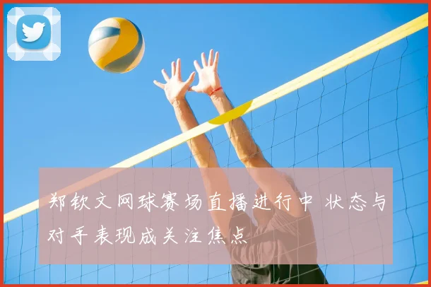 郑钦文网球赛场直播进行中 状态与对手表现成关注焦点