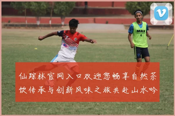仙踪林官网入口欢迎您畅享自然茶饮传承与创新风味之旅共赴山水吟
