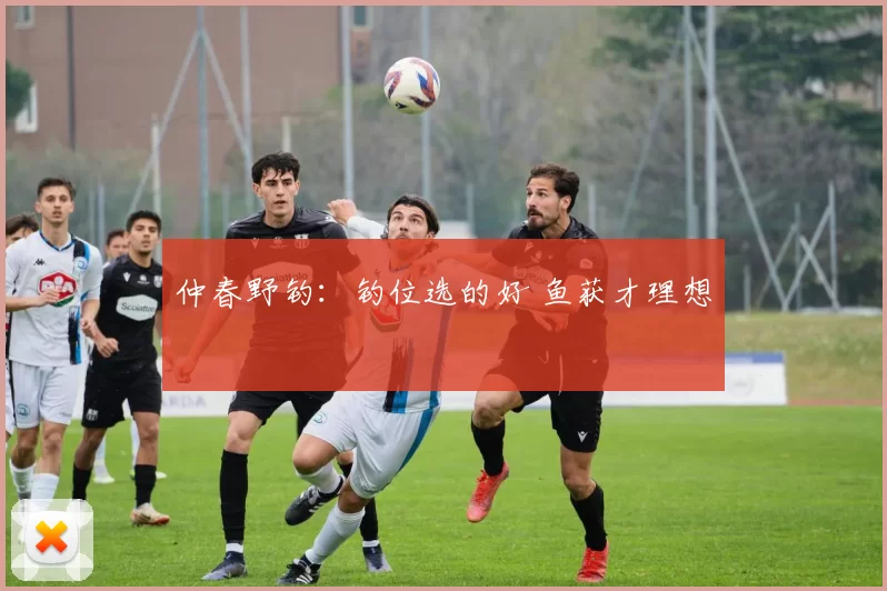 仲春野钓：钓位选的好 鱼获才理想