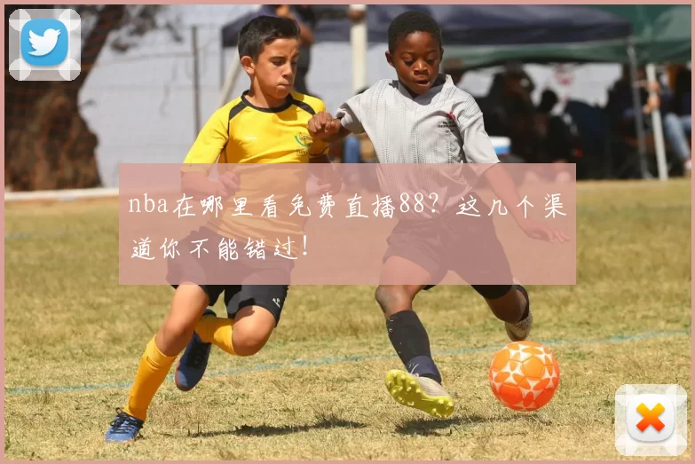 nba在哪里看免费直播88？这几个渠道你不能错过！