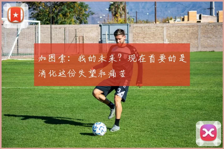 加图索：我的未来？现在首要的是消化这份失望和痛苦