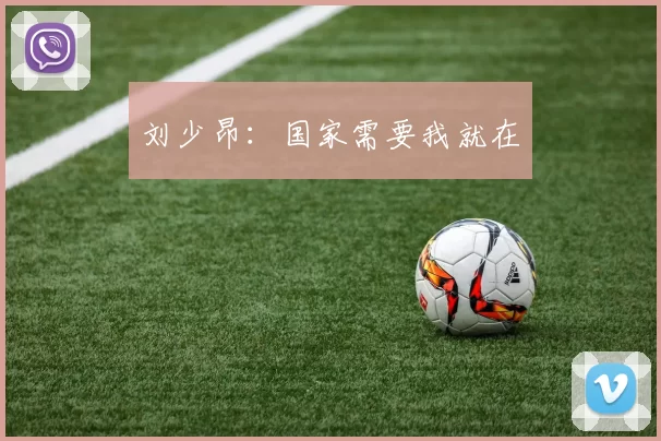 刘少昂：国家需要我就在