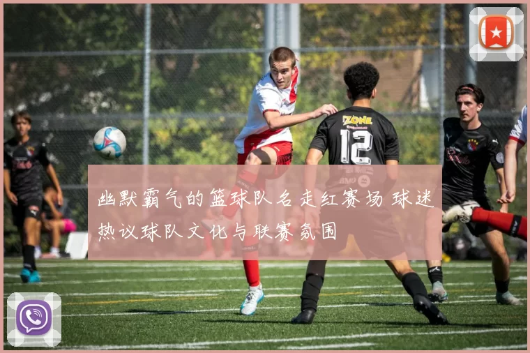 幽默霸气的篮球队名走红赛场 球迷热议球队文化与联赛氛围