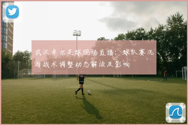 武汉卓尔足球现场直播：球队赛况与战术调整动态解读及影响