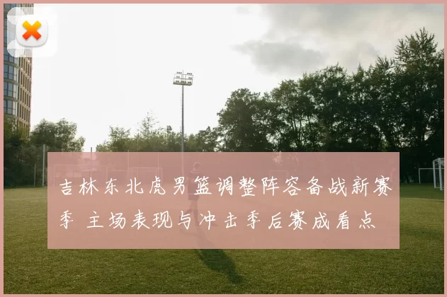 吉林东北虎男篮调整阵容备战新赛季 主场表现与冲击季后赛成看点
